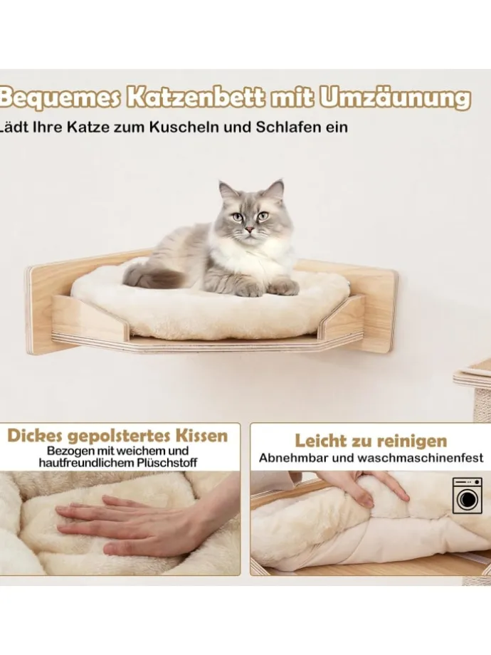 5 PCS Kletterwand Katzen in Hellbraun