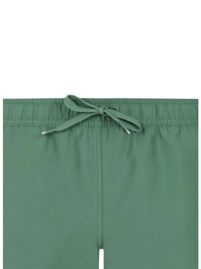 " PRTEvi in Veggie Green