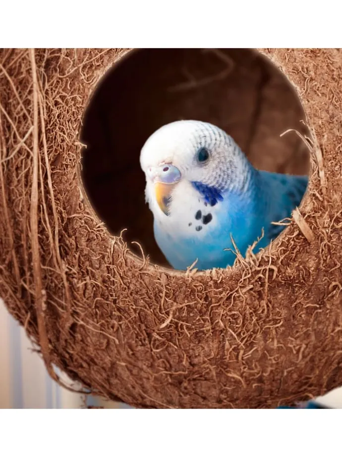 2 x Vogelhaus in Natur