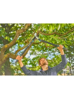 Astschere 