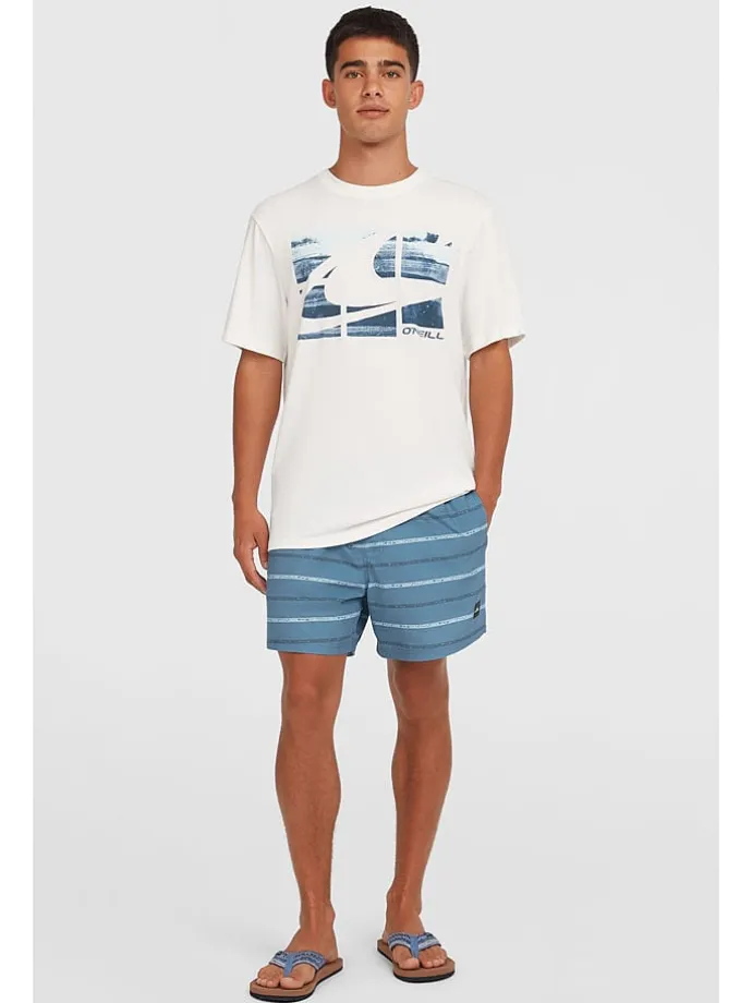 Badeshorts "Cali" in Blau