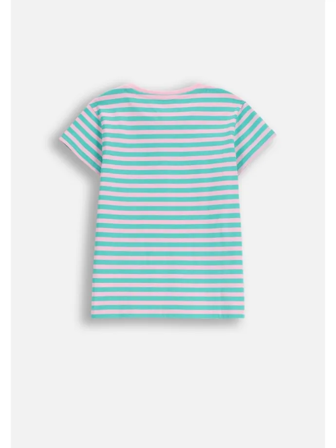 Baumwoll-T-Shirt mit kurzen Ärmeln in grün