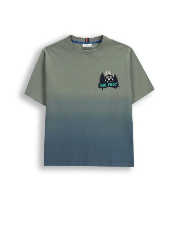 Baumwoll-T-Shirt mit kurzen Ärmeln in grün