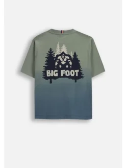 Baumwoll-T-Shirt mit kurzen Ärmeln in grün