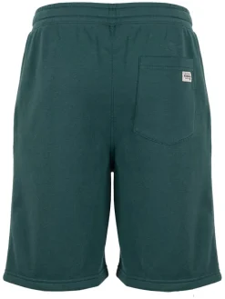 Bermudas in Grün