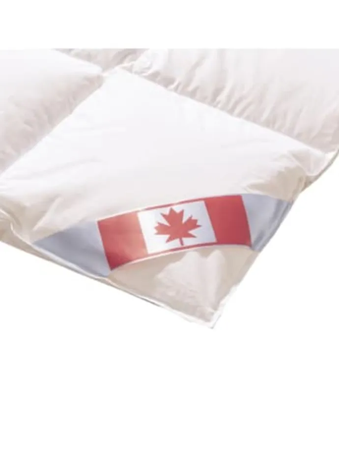 Bettdecke Daunendecke Canada Leicht in Weiß