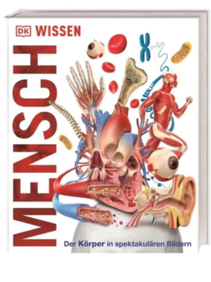 Buch - DK Wissen. Mensch