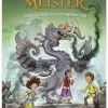 Buch - Drachenmeister 23: Der Fluch des Schattendrachen