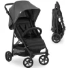 Buggy & Sportwagen Rapid 4 (bis 25 kg) - in schwarz,grau