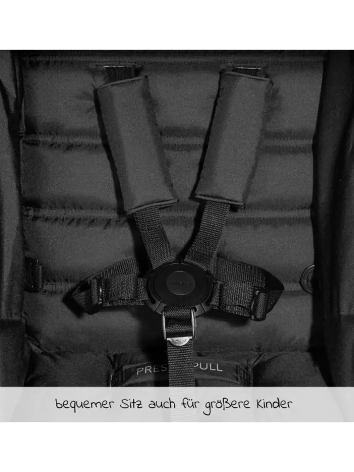 Buggy & Sportwagen Rapid 4 (bis 25 kg) - in schwarz,grau