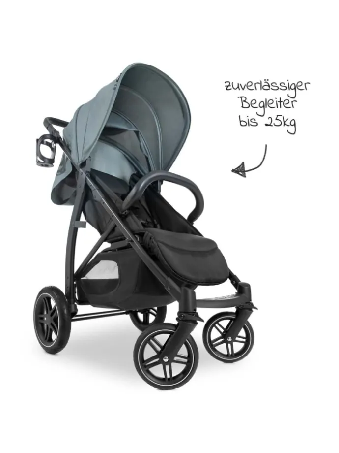 Buggy Rapid 4D (bis 25 kg) - XL Verdeck & in schwarz,blau
