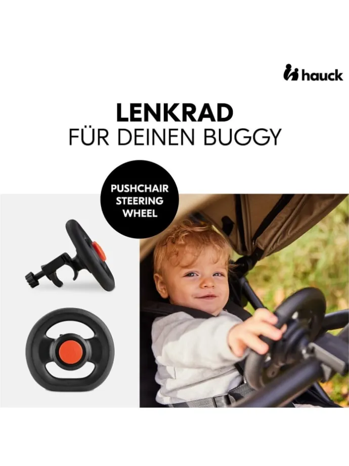 Buggy Rapid 4R Plus inkl. XXL Zubehörpaket in grau,schwarz