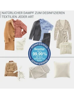 Dampfglätter