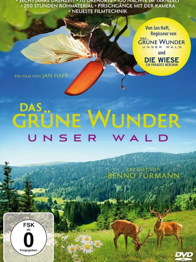 Das grüne Wunder - Unser Wald