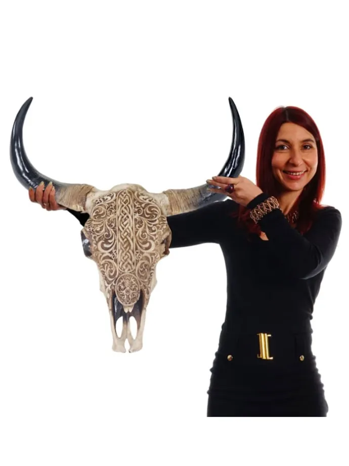 Deko Schädel T454 Stier