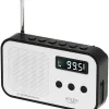 Digitalradio in Weiß/ Schwarz