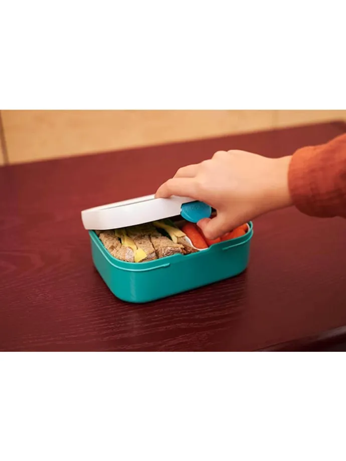 2er Set Lunchset mit Thermoflasche Campus in Forest Friends