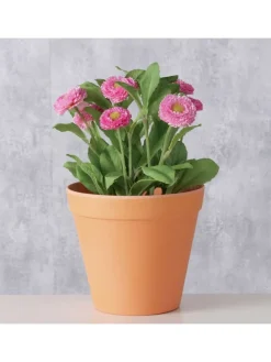 2er-Set: Übertöpfe "Giardino" in Orange - (H)13,5  Ø 15 cm