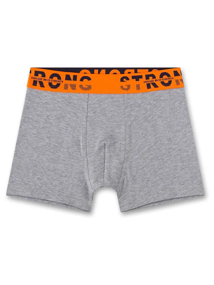 2er-Set: Boxershorts in Grau/ Schwarz