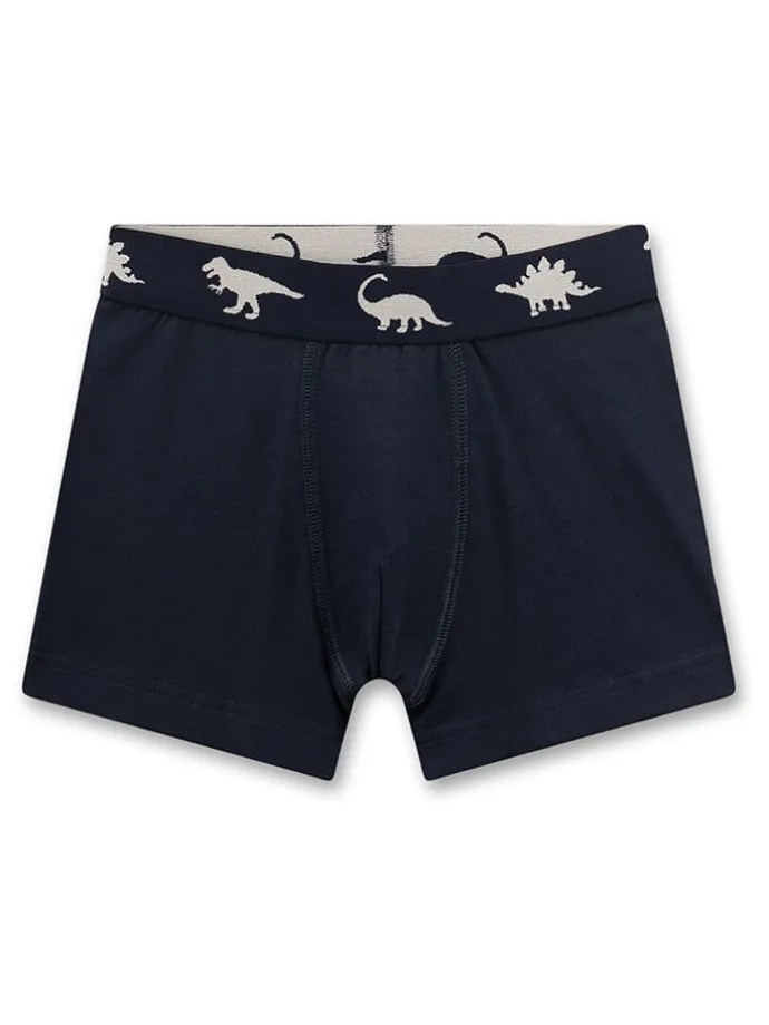 2er-Set: Boxershorts in Schwarz/ Gelb