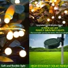 4er-Set: LED-Solarleuchten in Schwarz - (H)73 cm