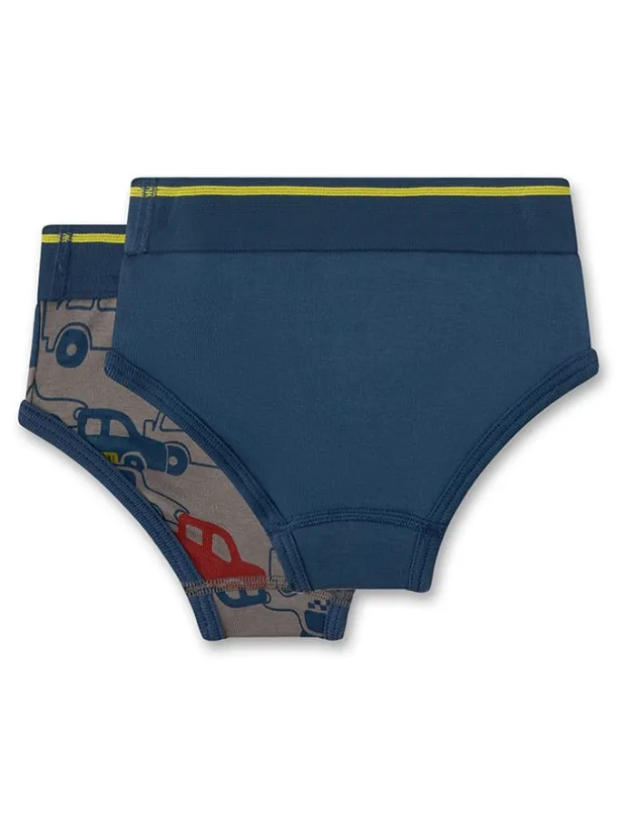 2er-Set: Slips in Blau/ Grau