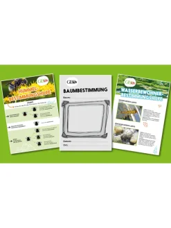 Experimentierset