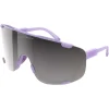 Fahrradbrille "Devour" in Lila/ Grau