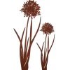 Gartenstecker Stecker Agapanthus 2er Set in Braun