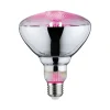 Grow Green Edition Filament 230V LED Reflektor