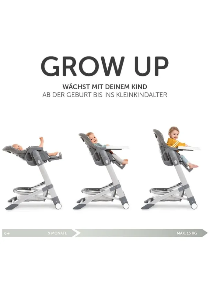 Hochstuhl & Babyliege ab Geburt - Grow Up in schwarz,grau