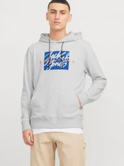 Hoodie in Grau