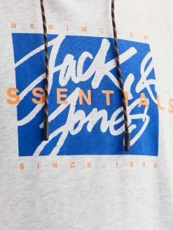 Hoodie in Grau