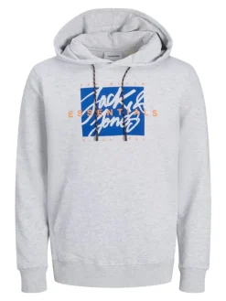 Hoodie in Grau