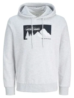 Hoodie in Hellgrau