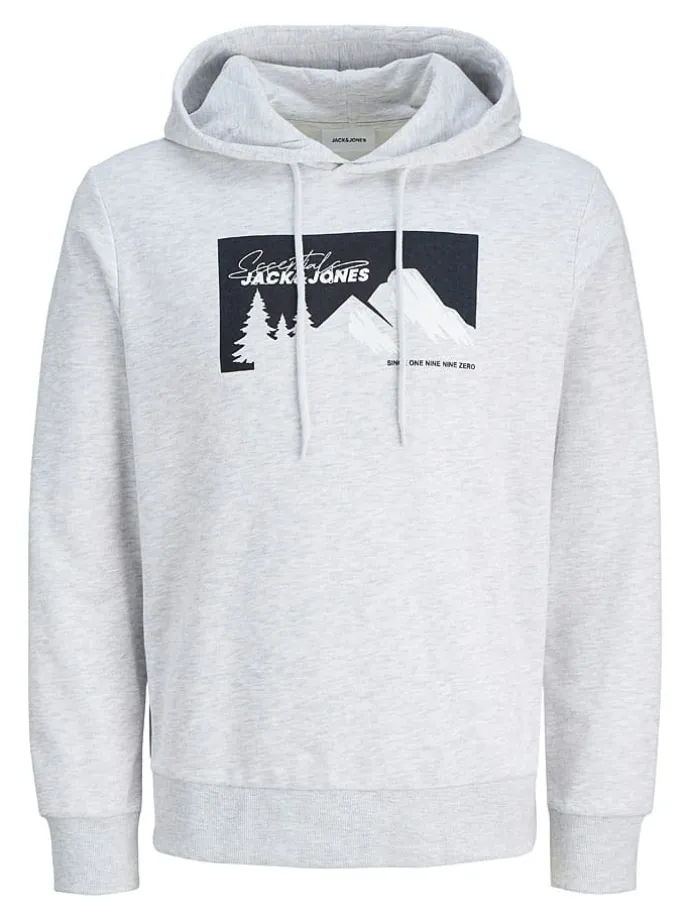Hoodie in Hellgrau