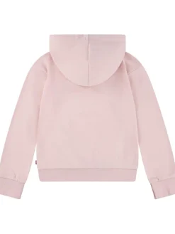 Hoodie in Rosa