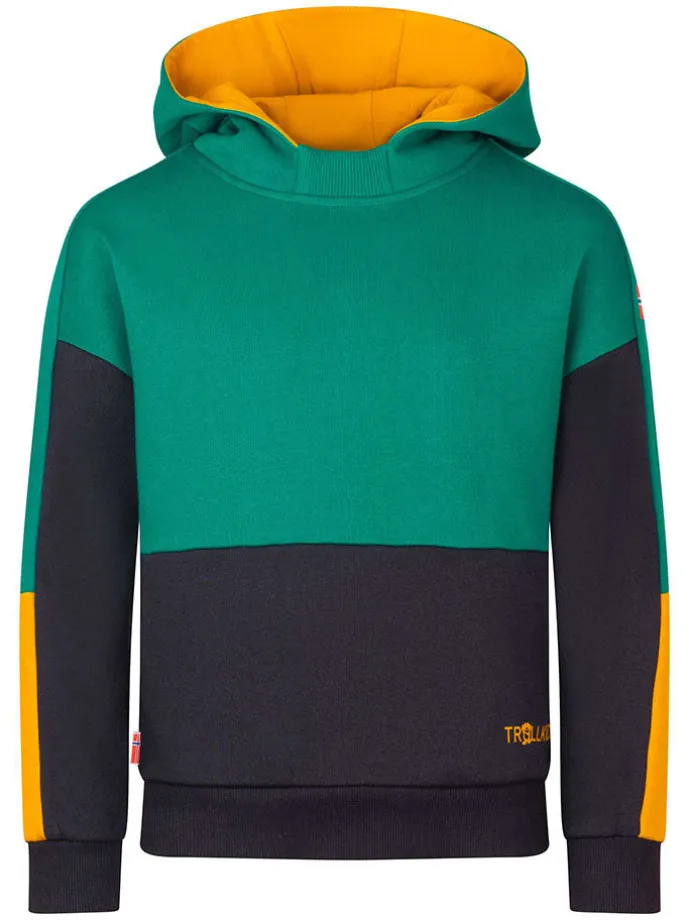Hoodie "Rondane" in Grün