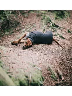 Hunde-Wintershirt in Anthrazit