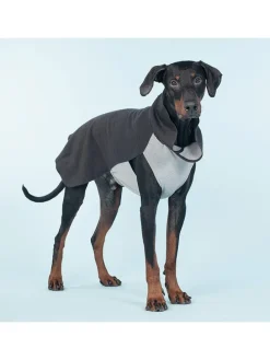 Hunde-Wintershirt in Anthrazit