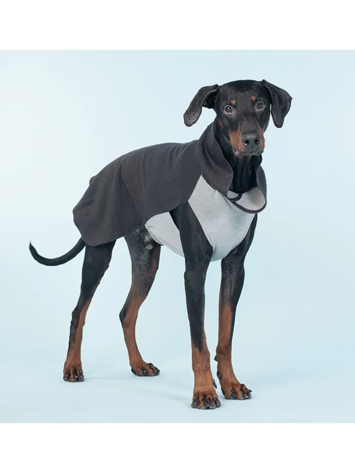 Hunde-Wintershirt in Anthrazit