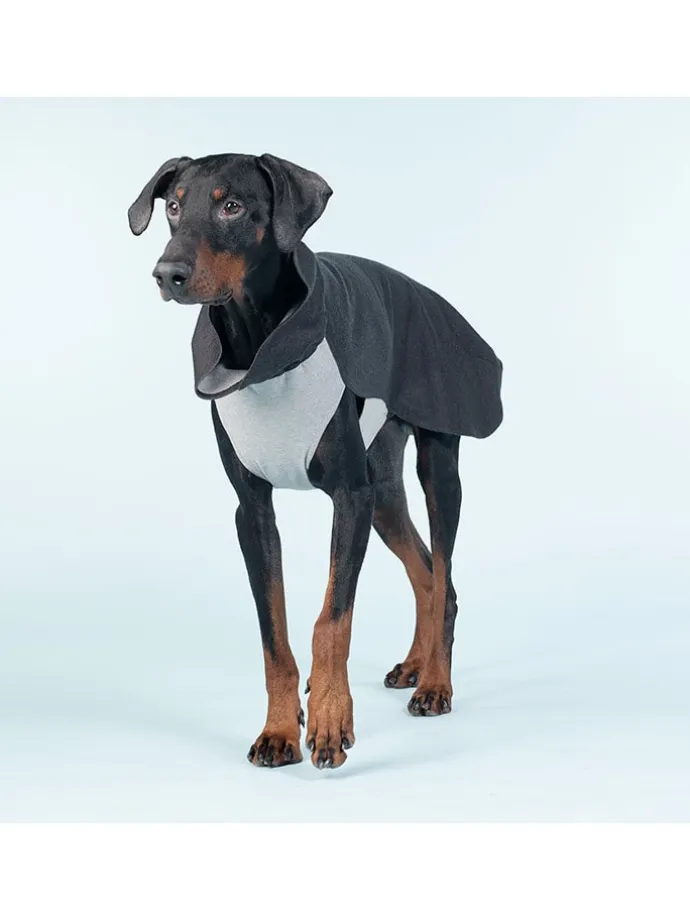 Hunde-Wintershirt in Anthrazit
