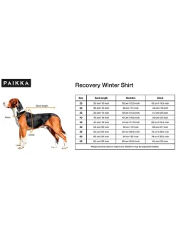 Hunde-Wintershirt in Anthrazit