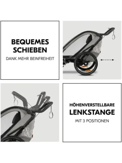 3in1 Fahrradanhänger Bike N Walk Duo für in grau