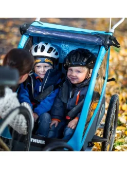 2in1-Fahrradanhänger