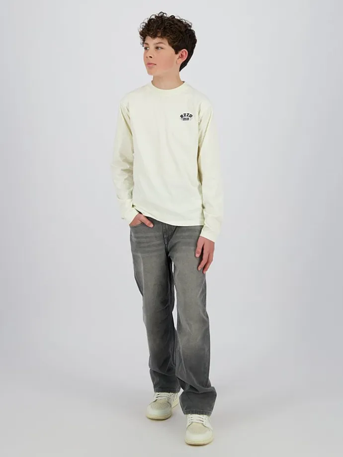 Jeans "Hanoi" - Baggy fit - in Grau