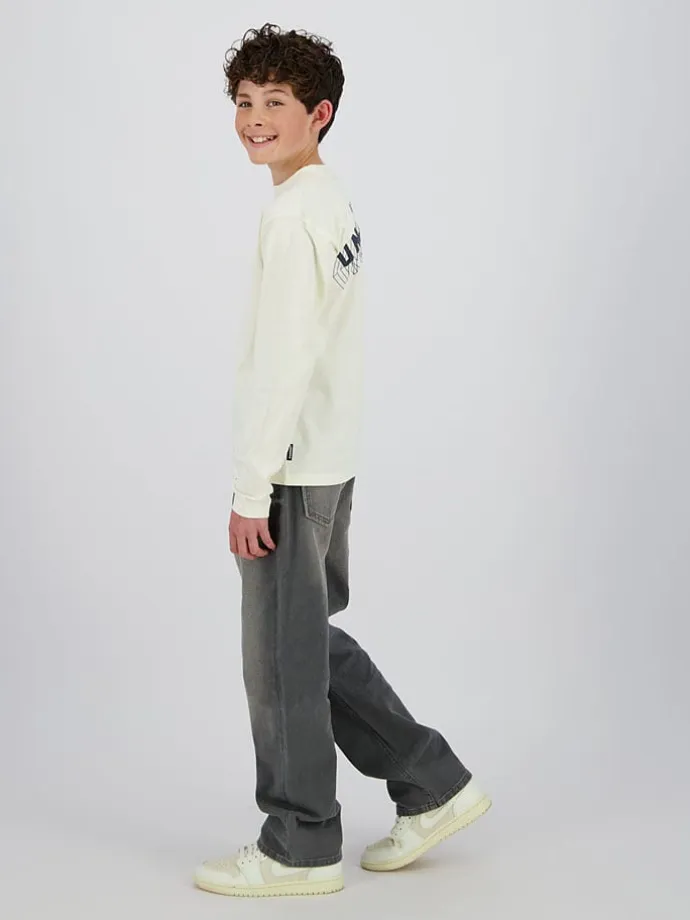 Jeans "Hanoi" - Baggy fit - in Grau