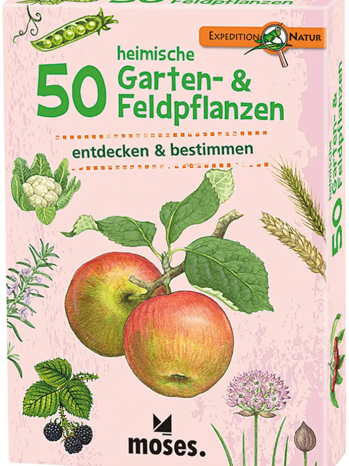 Kartenset "50 heimische Garten- & Feldpflanzen" - ab 6 Jahren
