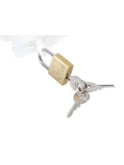 Keuschheitsgürtel Cockkäfig Peniscage in transparent