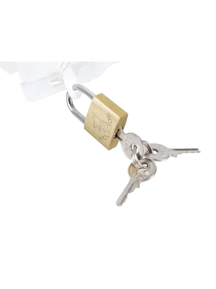 Keuschheitsgürtel Cockkäfig Peniscage in transparent